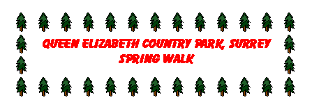 Text Box: QUEEN ELIZABETH COUNTRY PARK, SURREYSPRING WALK