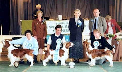 2001 BIS Winners