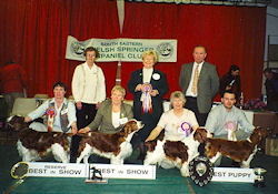 2001 BIS Winners
