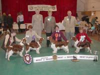 2006 BIS Winners