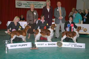 2008 BIS Winners