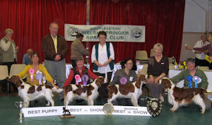 2009 BIS Winners