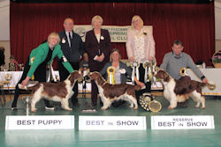 Jan 2014 BIS Winners